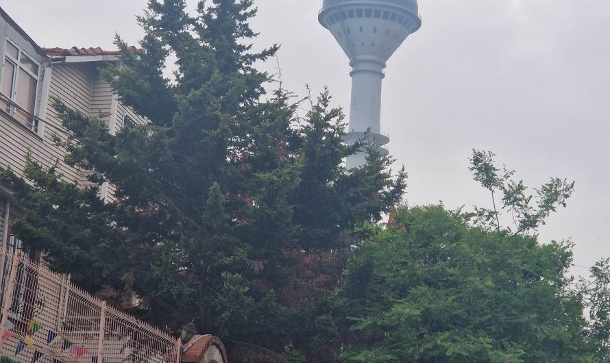 2025-Istanbul Tag 8